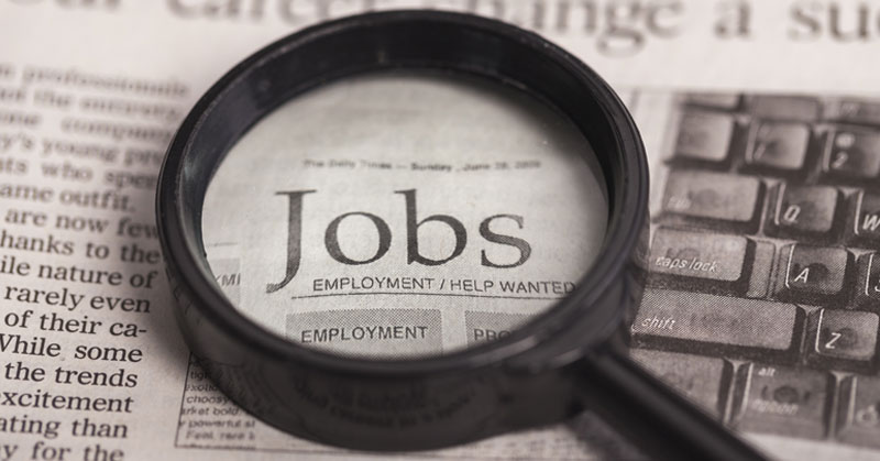 hr looking through job ad