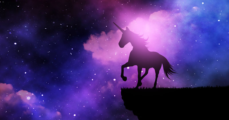 unicorn