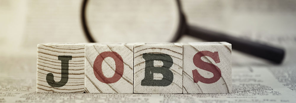  Sample Job Descriptions